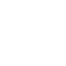 Rigor técnico